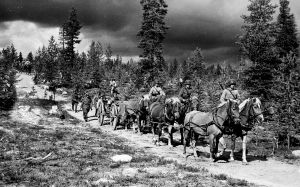 Viimeisiä kenttätykistön tykkivaljakoita Satakunnan Tykistörykmentistä vuoden 1969 kesäleirillä. Rykmentin viimeiset hevoset myytiin vuonna 1970. 