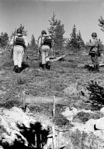 Puhelinryhmä rakentaa runkolinjoja tulenjohto- ja tuliasemakeskusten välille Rovajärven ampumaleirillä vuonna 1959. Sodanaikaista yksijohdinkaapelin tilalle tuli 1950-luvun alusta alkaen vähitellen Suomen Kaapelitehtaan valmistama muovieristeinen kenttäparikaapeli. 